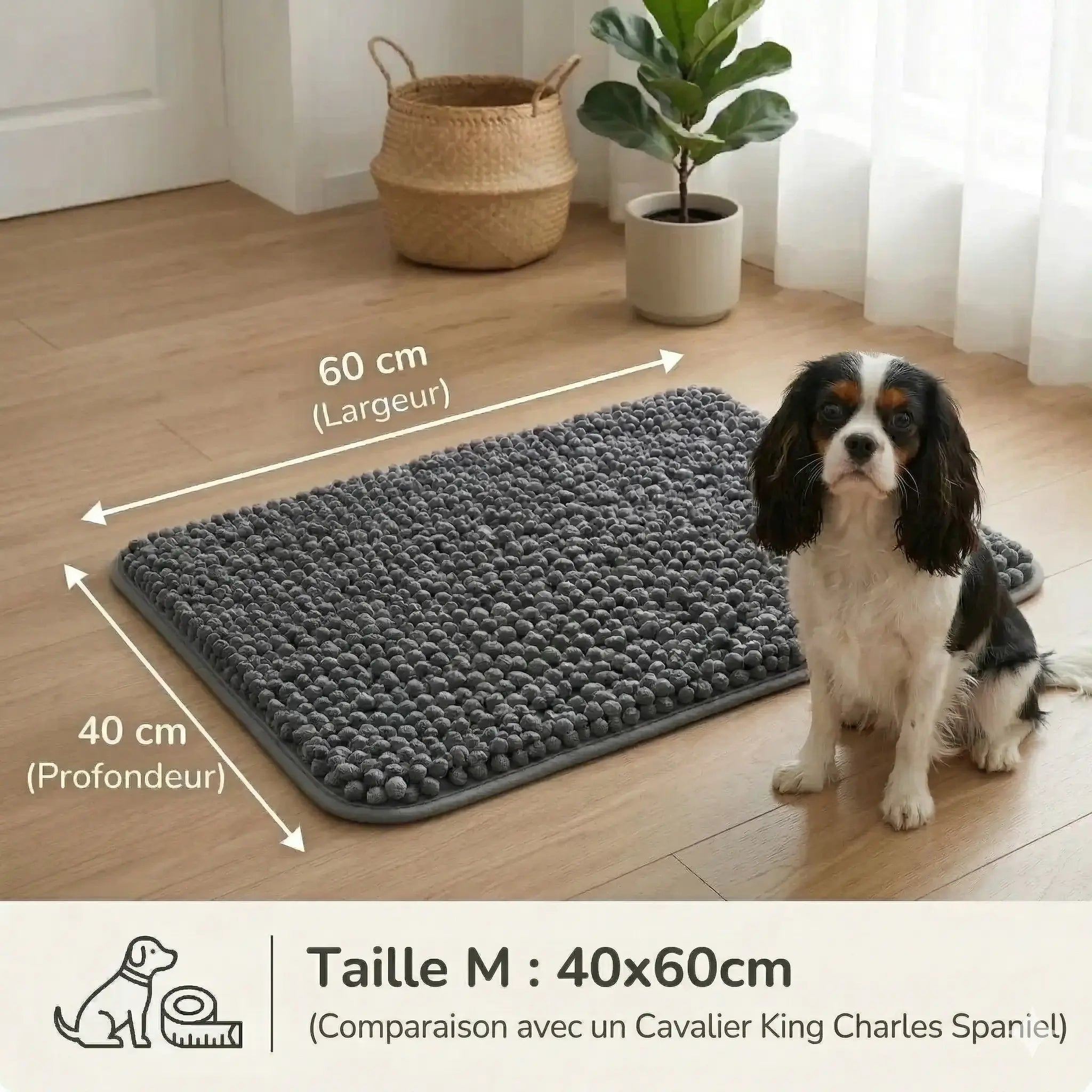 Tapis Pawster
