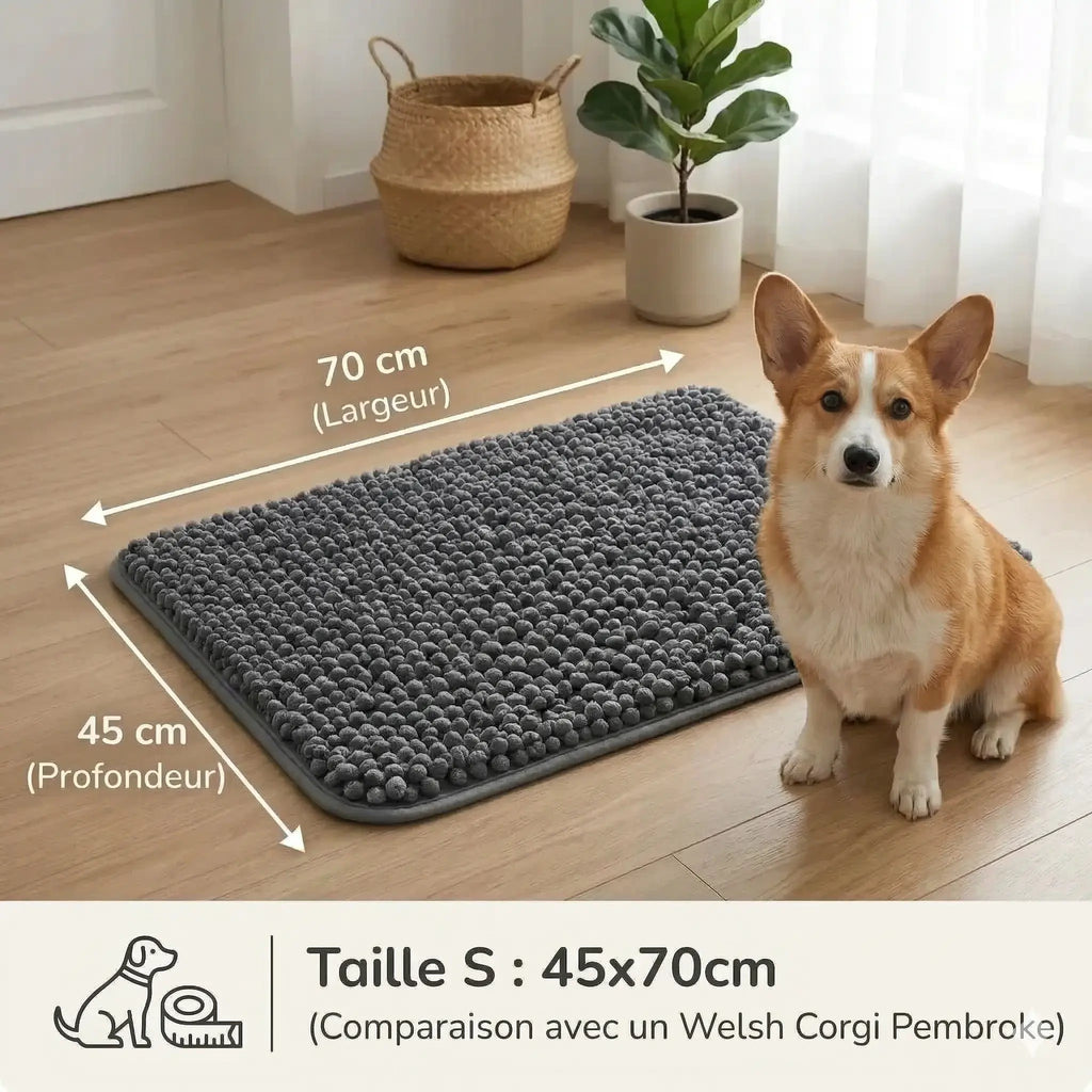 Tapis Pawster