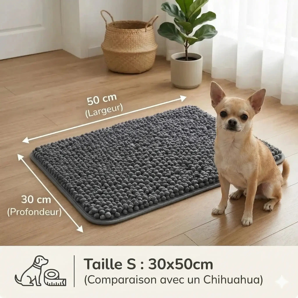 Tapis Pawster