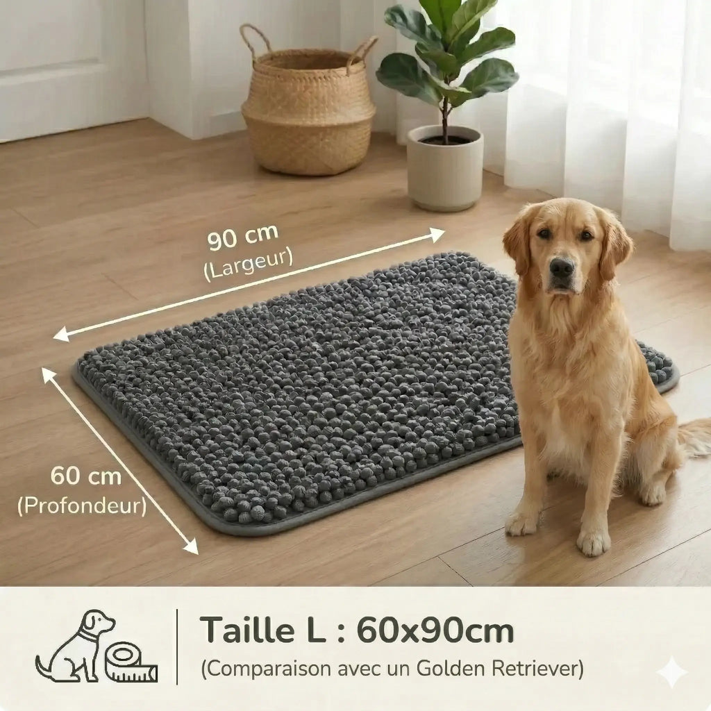 Tapis Pawster