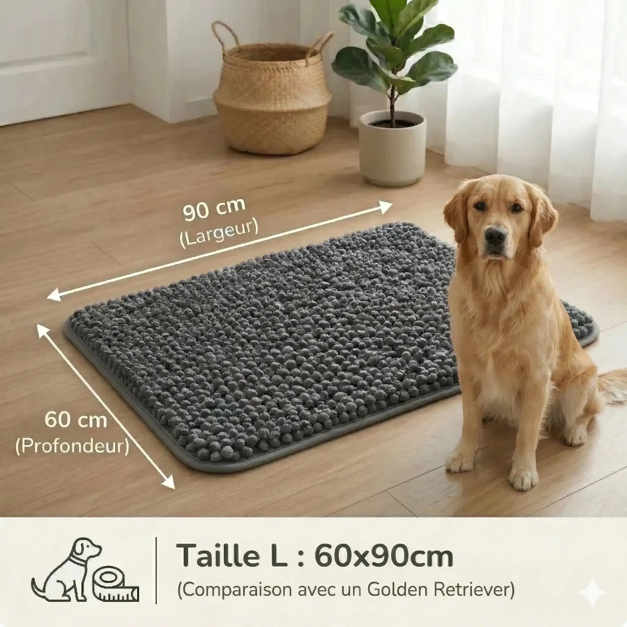 Tapis Pawster
