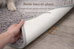 Tapis d'entrée pour animaux Pawster