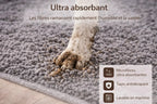 Tapis d'entrée pour animaux Pawster