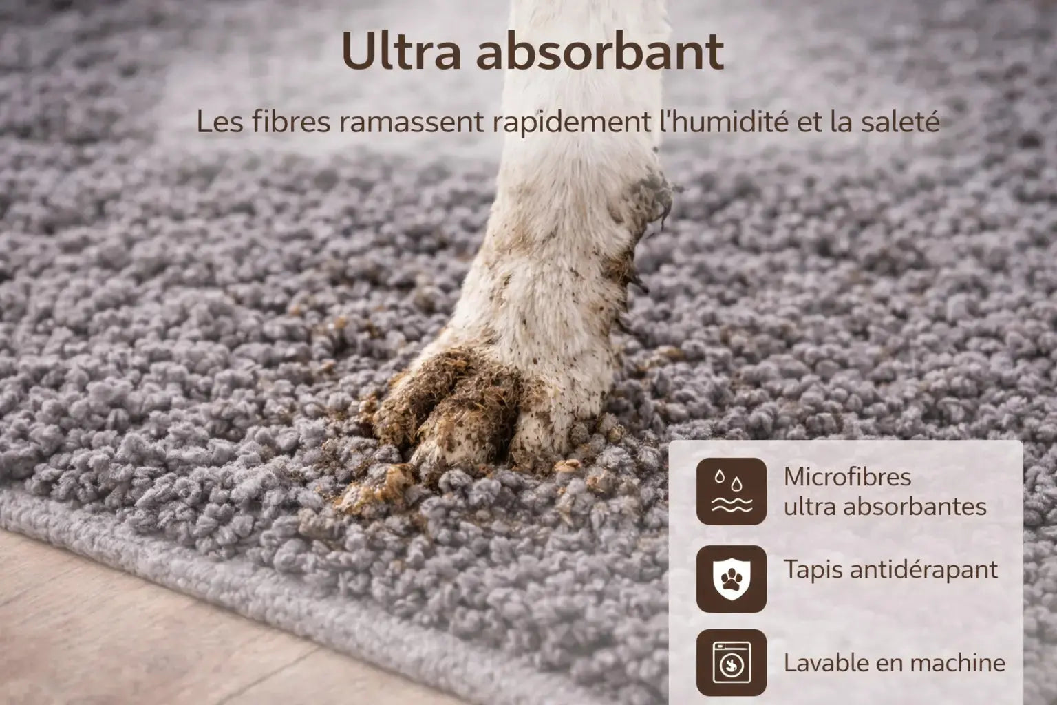 Tapis d'entrée pour animaux Pawster